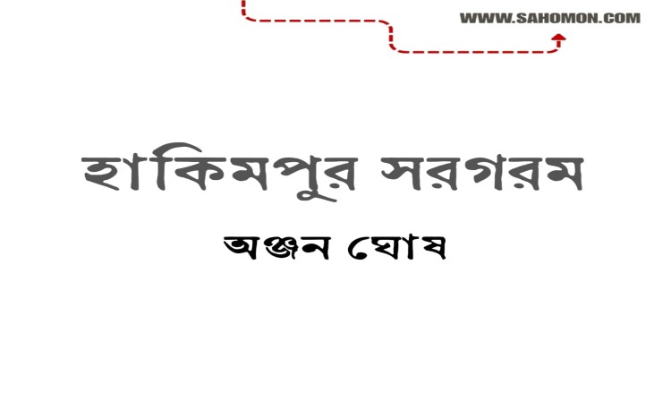 হাকিমপুর সরগরম