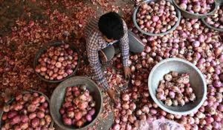 চটাদার সঙ্গে পেঁয়াজ গবেষণা